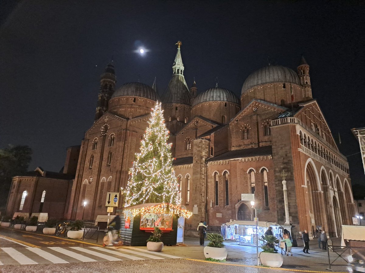 The City of Padua decided to place the 2023 Christmas tree next to the Basilica of St Anthony