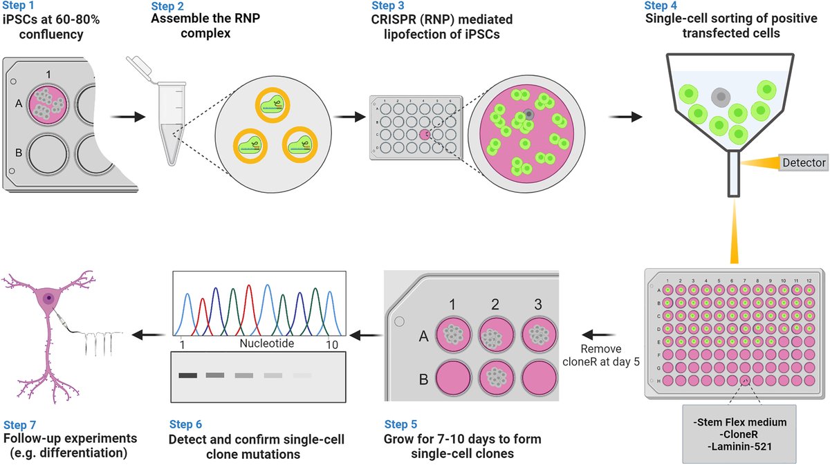 ESC_iPSC_News's tweet photo. Definitely a worthy methodology for those in the field to check out. Congratulations to the team! 👏 https://t.co/p8V5544tgI
