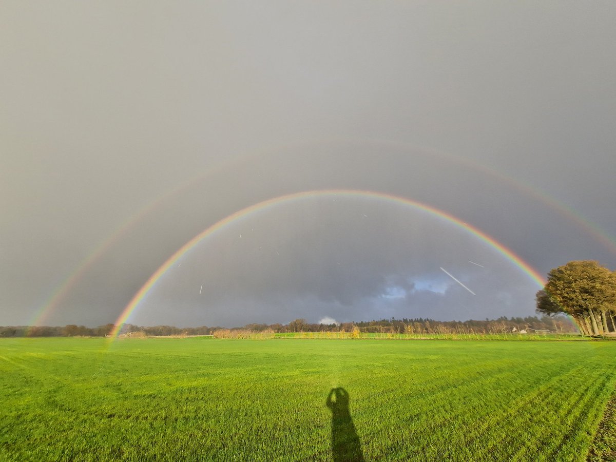 ....hele dag van links naar rechts door de weide gerend....maar kon hem niet vinden😔