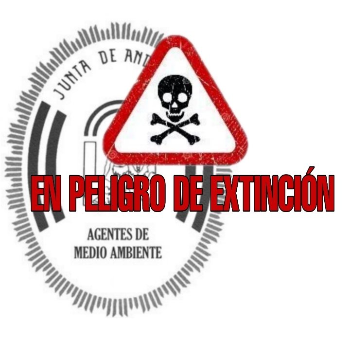 aamaa_es's tweet photo. Esta NO es la apuesta decidida y el plan de choque prometido para evitar el colapso en la plantilla de @AAMM_And

30 plazas que serán efectivas con suerte en dos años, cuando se hayan jubilado y promocionado ese número solo en una provincia.
@RamonFPM ponga solución #OEP2023SERIA https://t.co/BT1p31Da3u
