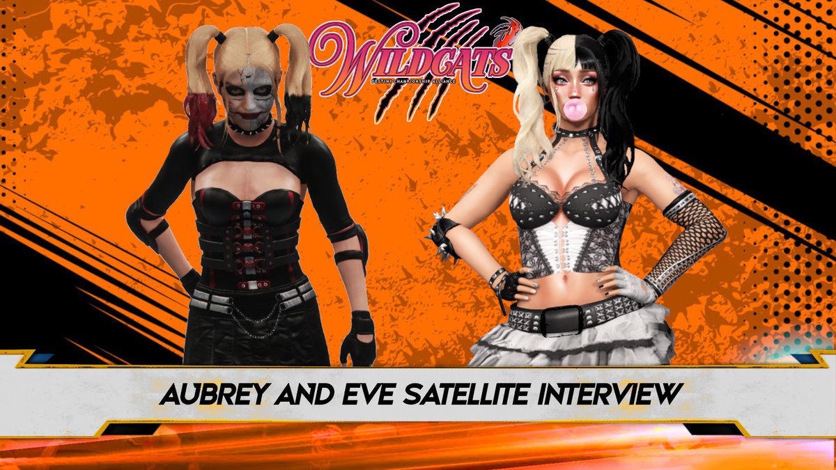 DCAwrestling's tweet photo. There have been words traded back and forth for weeks, but now @DNDAubreyW and @eve_heron will have one final interview before Redemption on the next Wildcats. However, it will be conducted via satellite to prevent any violence taking place before the big event. Don't miss it! https://t.co/7C5s5AdFH1