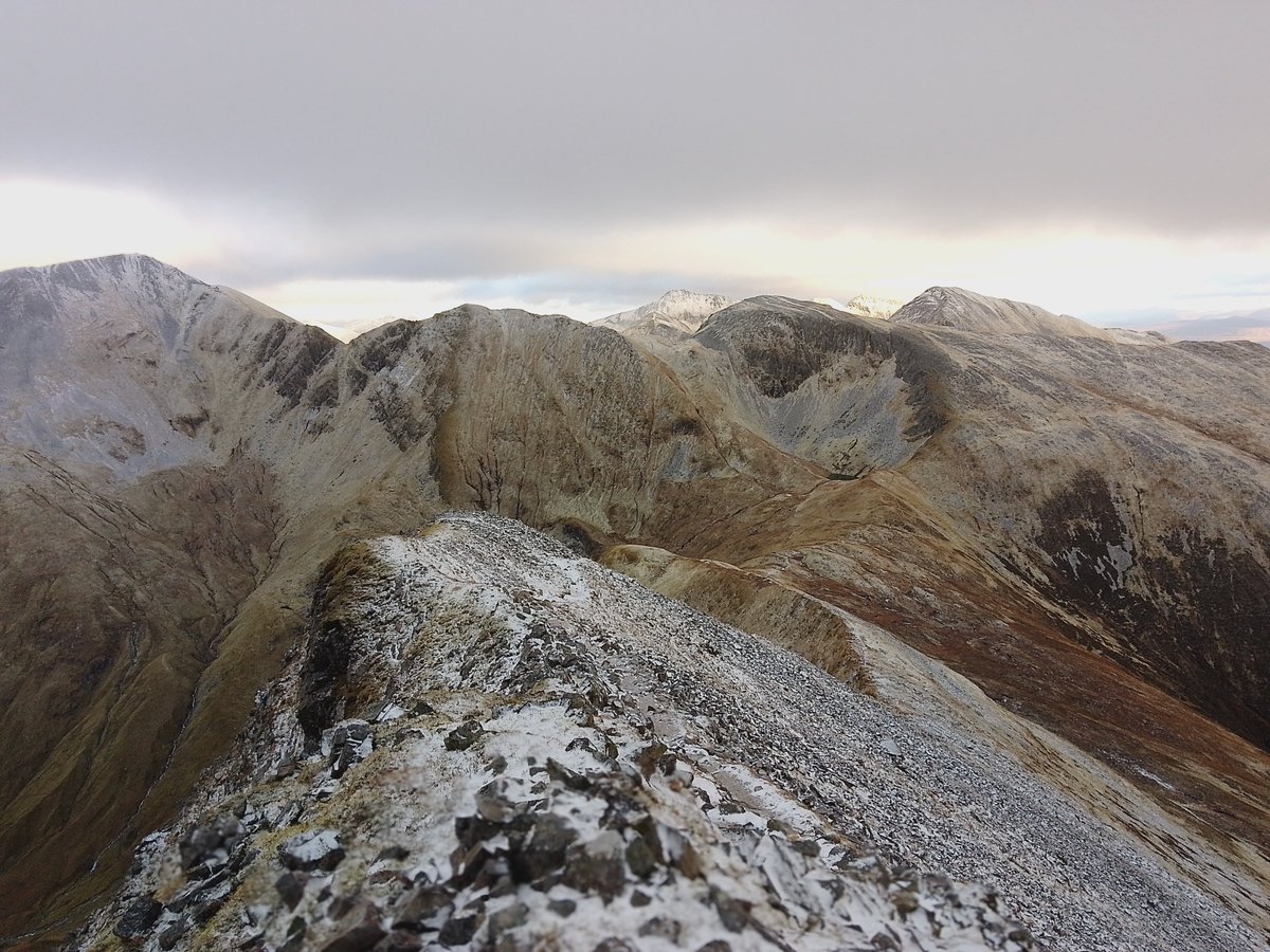 George Henderson tweet media