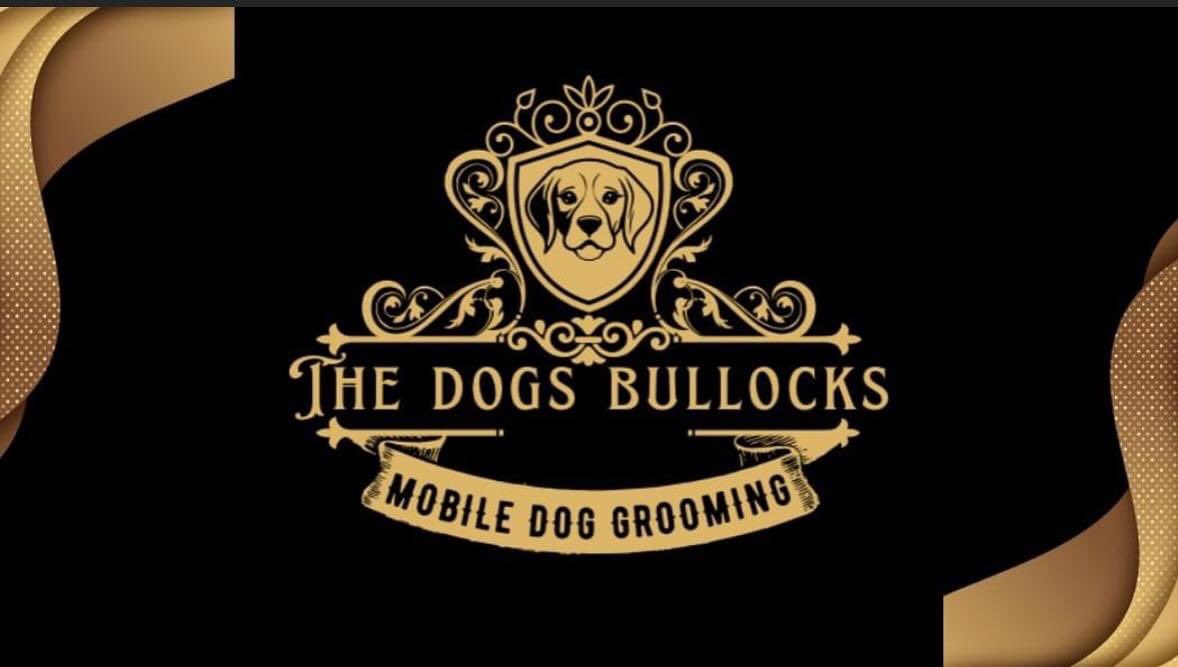 WpsFriendsof's tweet photo. You may have seen the email today confirming the prizes for the Christmas raffle but in case you haven’t…here’s another epic prize announcement…a free doggy pamper session to the value of £50 with The Dogs Bullocks 🐶🐩🐕‍🦺🦮 https://t.co/5bTqiAzY5K
