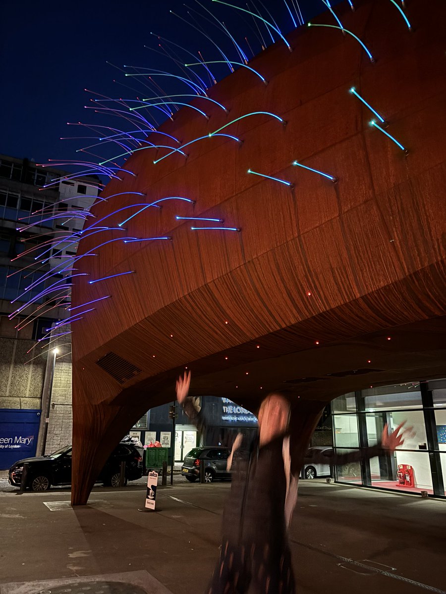 Bokarelli tweet media