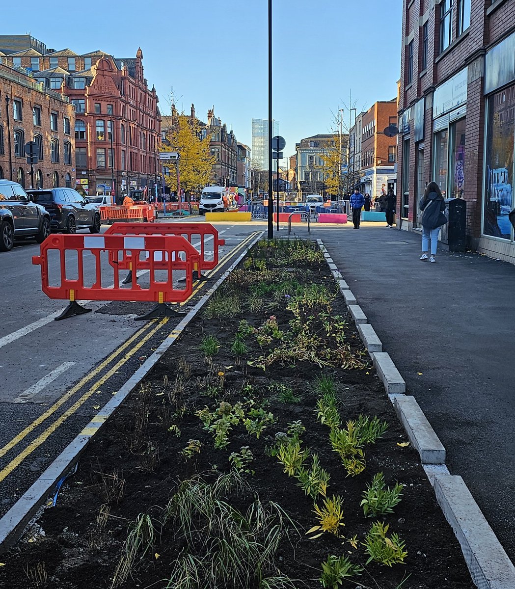 Cllr Jon-Connor Lyons 🐝 tweet media