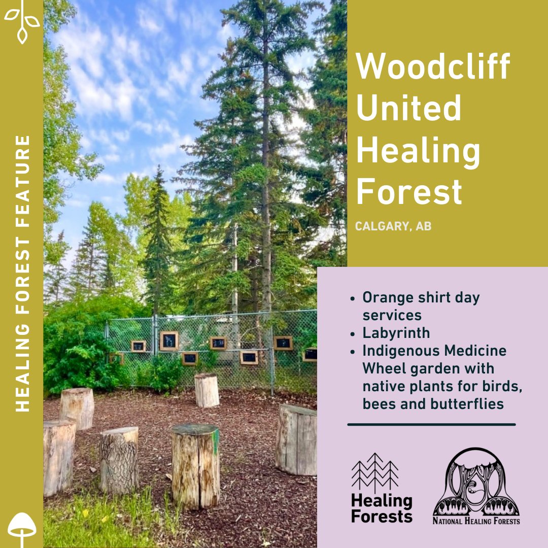 The Woodcliff United Church community's Journey for Common Ground began in 2019 with outdoor night markets co-hosted by Elder Shirley Hill. In 2022, the church officially designated its grounds as a Healing Forest, which continues to grow in all it offers: dsfdn.org/HealingForests…