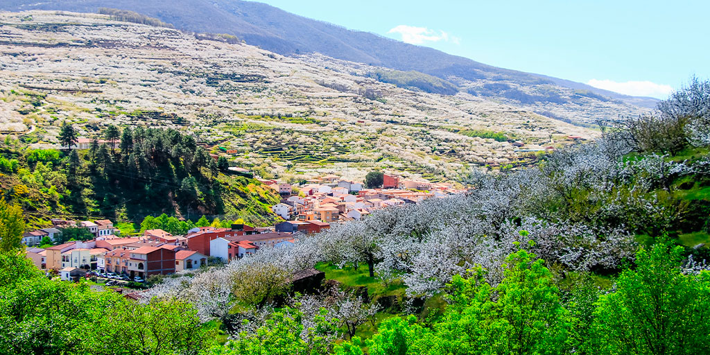 A #RoadTrip through #Cáceres will discover you that special thing that this inland region hides! Explore places like the #JerteValley, #Plasencia, the #MonfragüeNationalPark or #Hervás. ☺️ Awesome! 📸 

 bit.ly/3zZKxp1  👈

#YouDeserveSpain #VisitSpain @Extremadura_tur