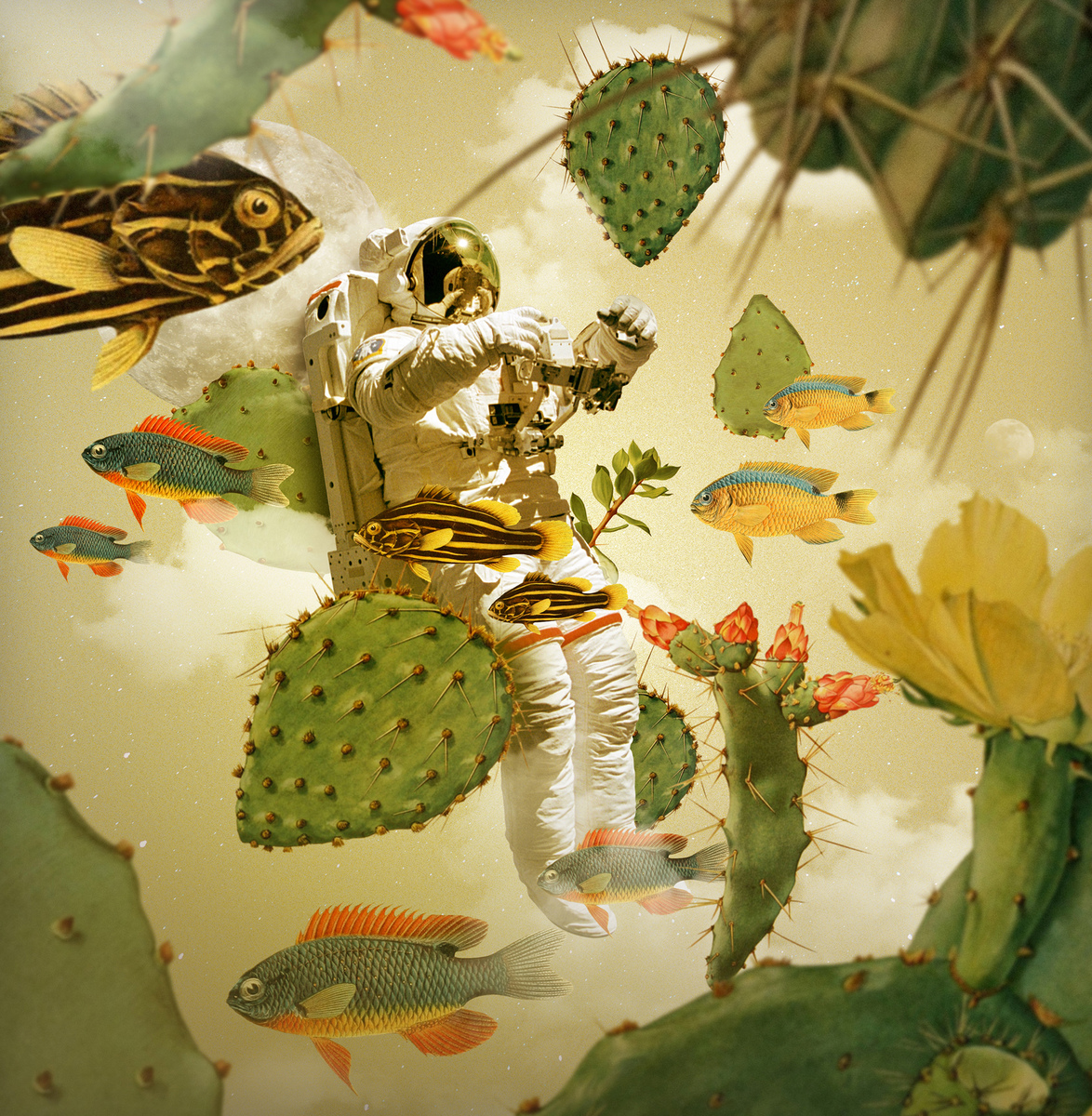 Bright Illustration tweet media