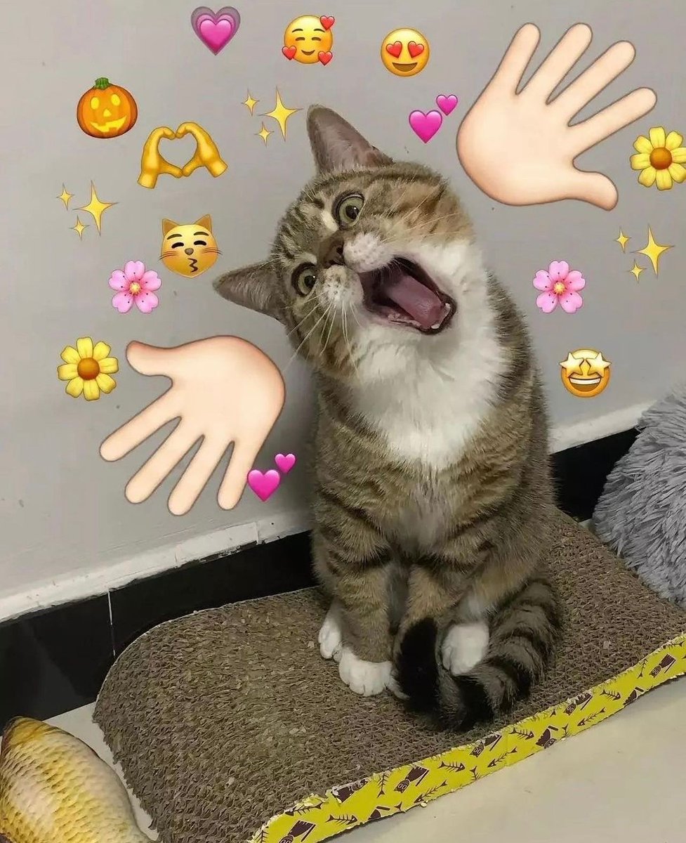 Posts Of Cats tweet media