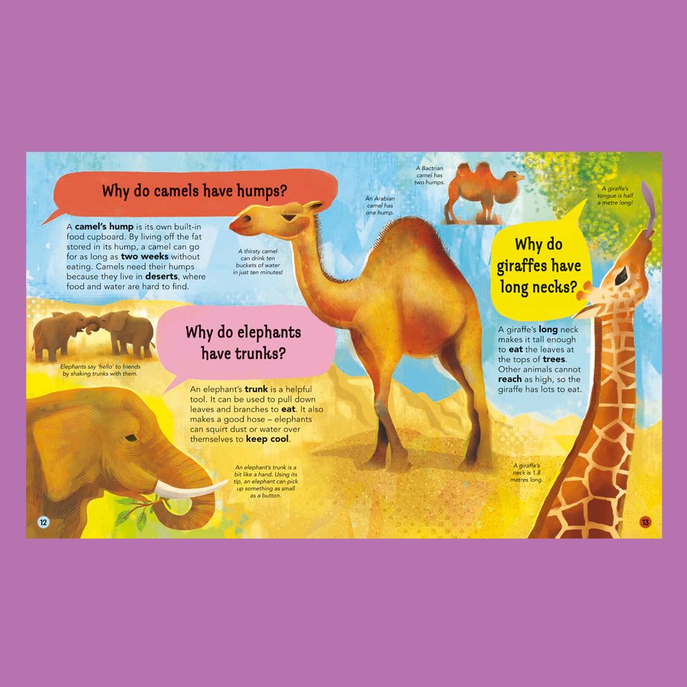 We love these vibrant textured illustrations by Gareth Lucas for I Wonder Why Camels Have Humps; a fascinating question and answer book written by Anita Ganeri. 🐪 🦉 🐠 🐒 

<a href="/garethlucasart/">Gareth Lucas</a>
<a href="/KingfisherBooks/">Kingfisher Books</a>
