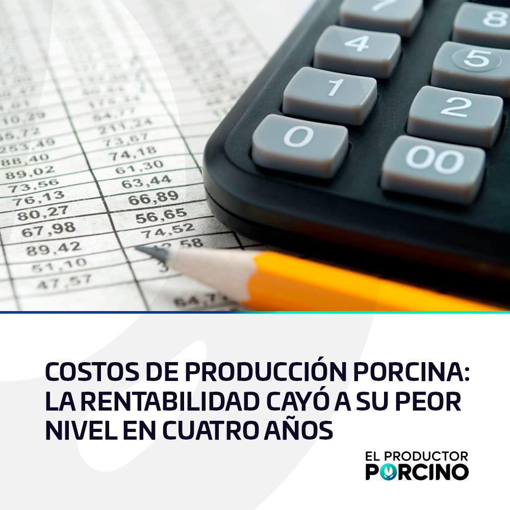 Según un informe de IERAL-Fundación Mediterránea, en un año, los costos de producción aumentaron un 169%. El estudio relevó la rentabilidad de las granjas porcinas en Córdoba, de acuerdo con sus niveles de eficiencia...
elproductorporcino.com/blog/news/cost…