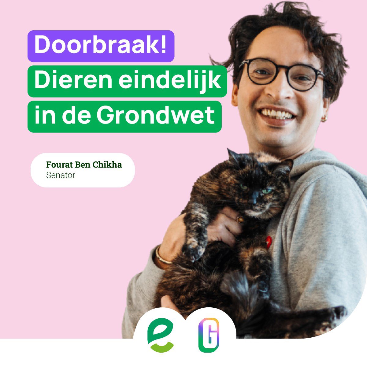 FouratBenchikha's tweet photo. "Vandaag hebben dieren gewonnen"

De @SenaatSenat stemde overweldigend pro ons voorstel om dieren op te nemen in de Grondwet. Als "wezens met gevoel". Want dieren zijn geen dingen, dat weten we allemaal. Belangrijke stap voor meer dierenwelzijn in ons land.

Speciale dank aan @Juuyttendaele en @bertanciaux