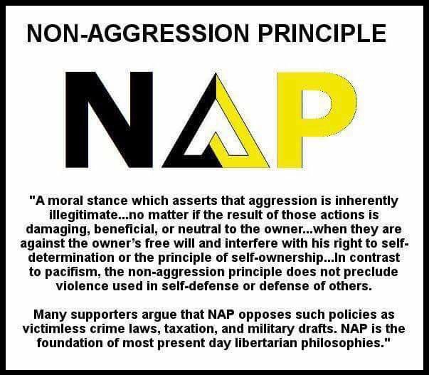 cedric4liberty's tweet image. #Liberty #NAP #NonAggressionPrinciple #Libertarian #AnCap 
#libertarianism