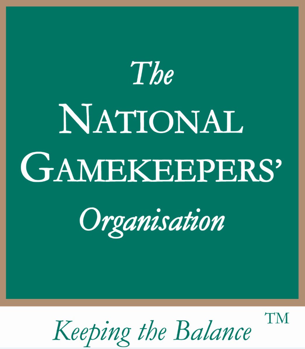 Statement from <a href="/NationalGamekee/">National Gamekeepers</a> 👇

'The facts are that birds of prey are thriving on land managed for shooting. The figures show us that all UK raptors are on the increase and the Hen Harrier is in fact doing best on moors managed for grouse shooting'

nationalgamekeepers.org.uk/articles/natio…