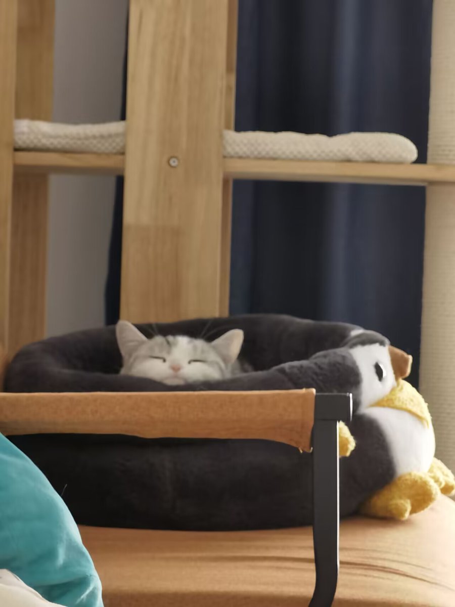 🐱🐧