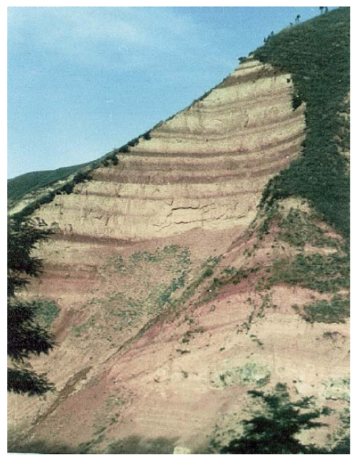 One monsoon system, two conflicting records: one indicating a 100,000 years cycle, the other a 23,000 years cycle. Which one represents the most accurate signal? Louise Fuchs @nesscresearch <a href="/UUEarthSciences/">Earth Sciences - Utrecht University</a> manage to solve the riddle uu.nl/en/news/nessc-… <a href="/CommsEarth/">Communications Earth & Environment</a>