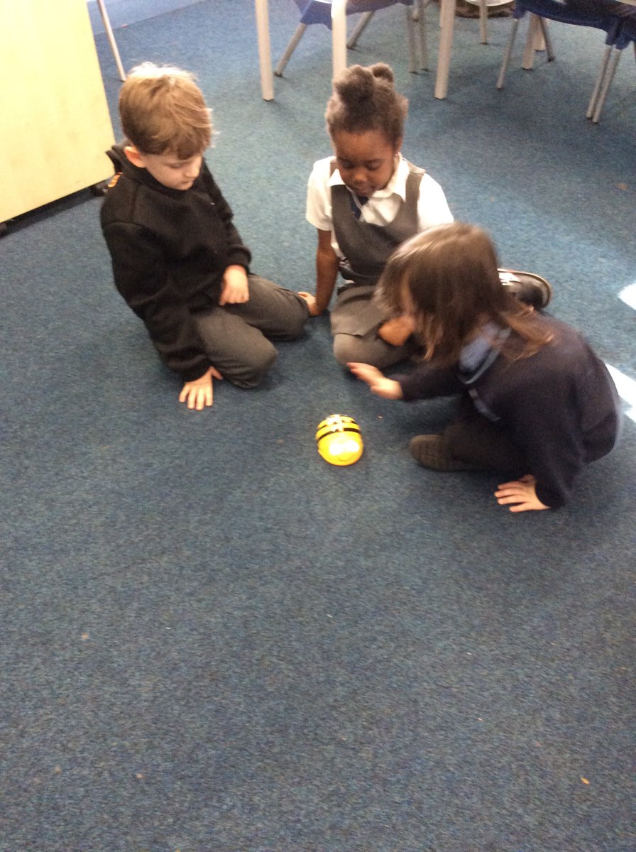 ditton_ps's tweet image. 1RD have enjoyed computing this afternoon. They have explored Beebots, finding out what the buttons do and how to make them move. 🐝 💻 #DittonPrimaryComputing