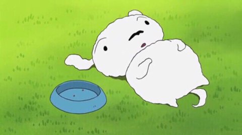 우꽁 tweet media