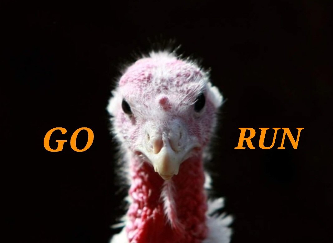 Happy day after Thanksgiving.