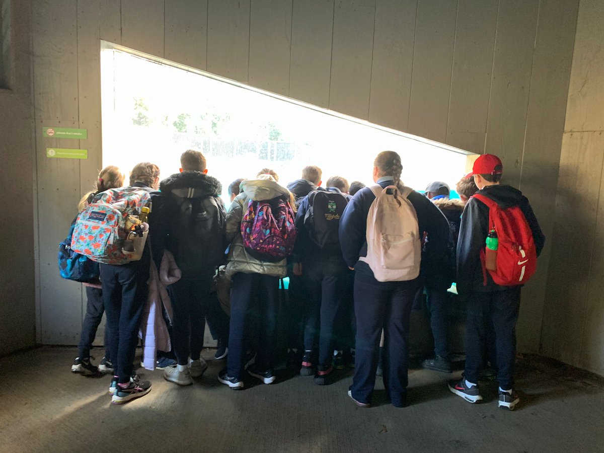 A busy day ..... exploring the Zoo. Thank you to our amazing guide, who helped us discover new facts about rainforests <a href="/followstannes/">St. Anne's Mixed N.S.</a> <a href="/DublinZoo/">Dublin Zoo</a>
