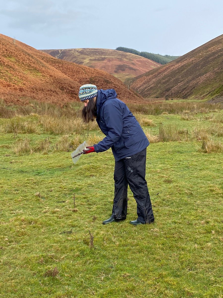 JamesHuttonInst's tweet photo. Looking for #environmental reservoirs of the bacteria that cause Johneโs Disease.
Research Scientist @Amy_Lauren_, from our @HuttonEBS department, uses an auger to gather #soil samples.
#Fridayinthefield https://t.co/7hJoip1ceL