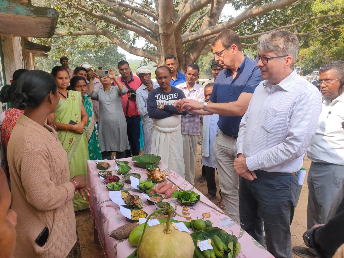 PHIA Foundation tweet media