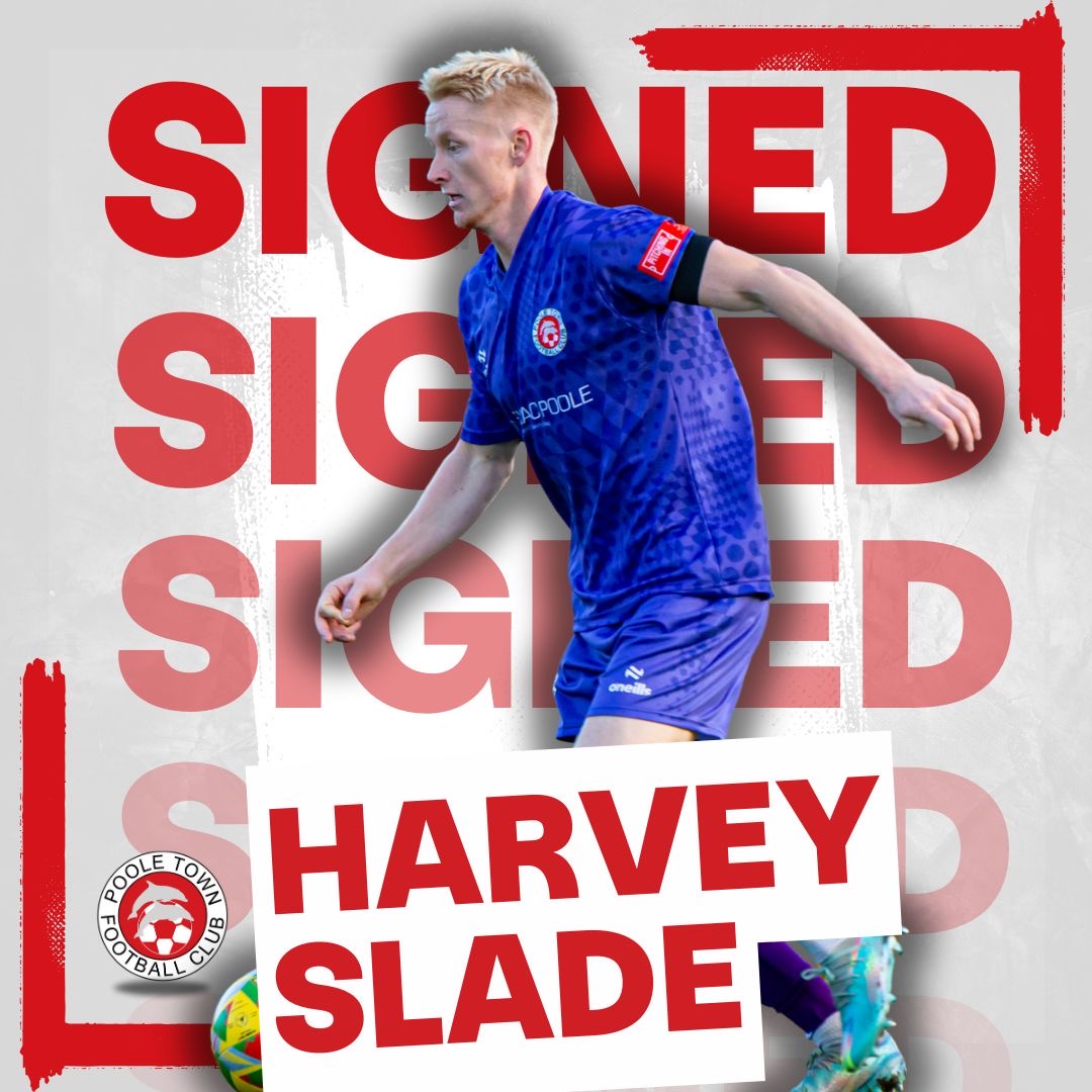 Poole Town FC 🐬 tweet media