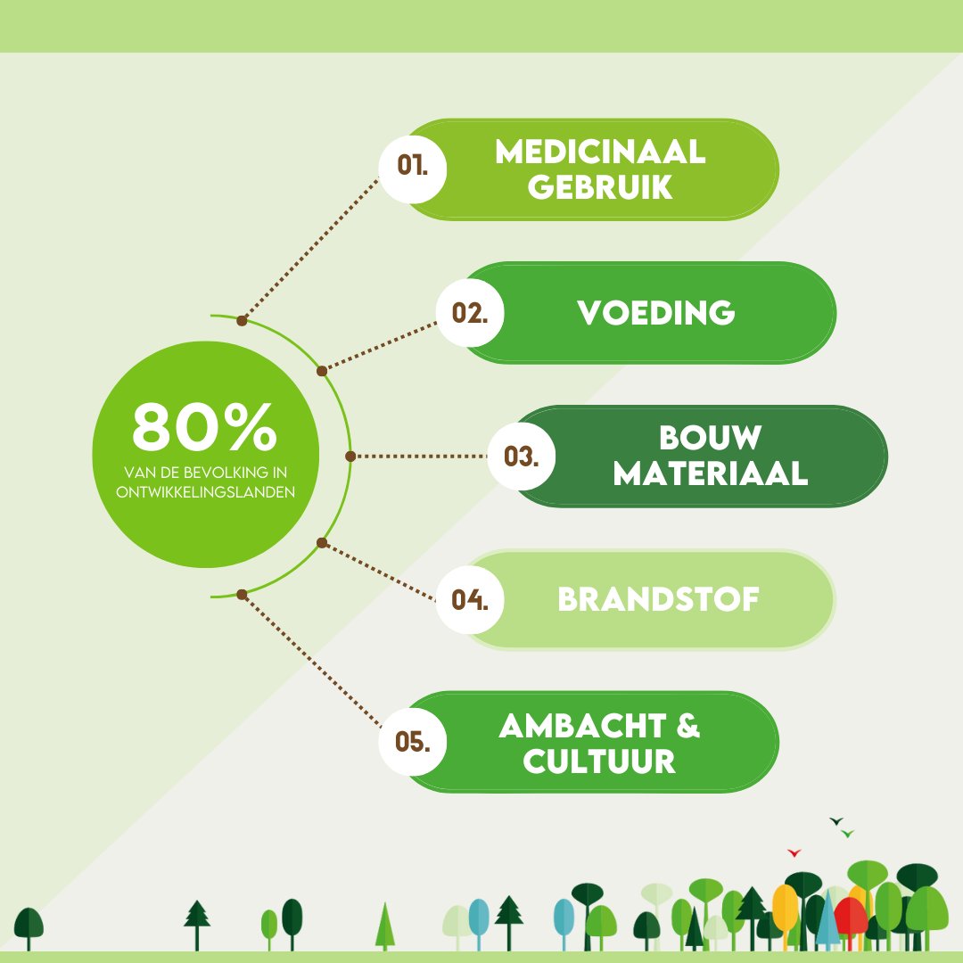 PEFC_NL's tweet image. #ForestFactFriday: 80% van de bevolking in ontwikkelingslanden gebruikt bosproducten voor gezondheids- en voedingsbehoeften. Duurzaam bosbeheer is van cruciaal belang om deze gemeenschappen te ondersteunen. Bron: World Bank 🌳💚 #DuurzaamLeven #PEFC #BosBehoud