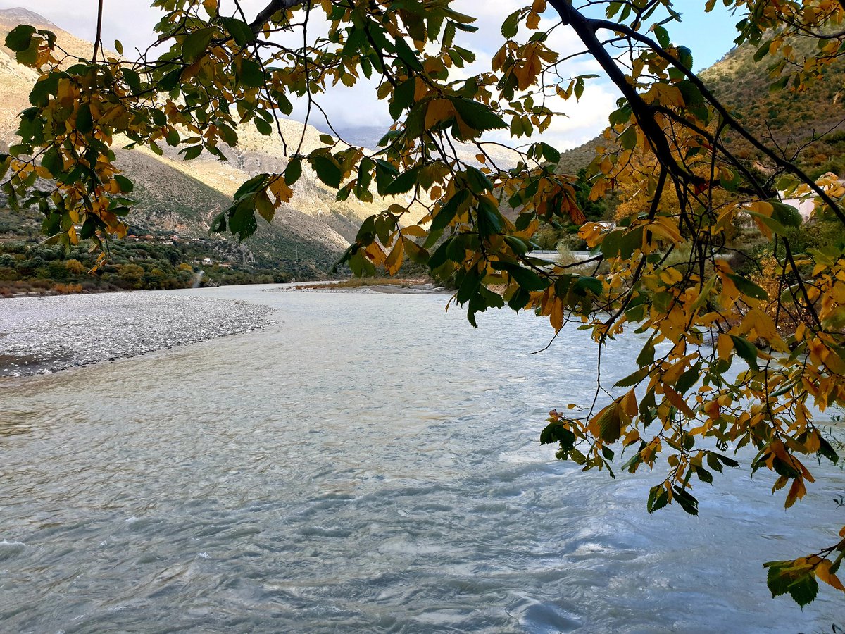 JoanaZh's tweet photo. Oxygen...❤
#VjosaRiver
#Dragot
#Tepelene https://t.co/8O8TM3fWaU