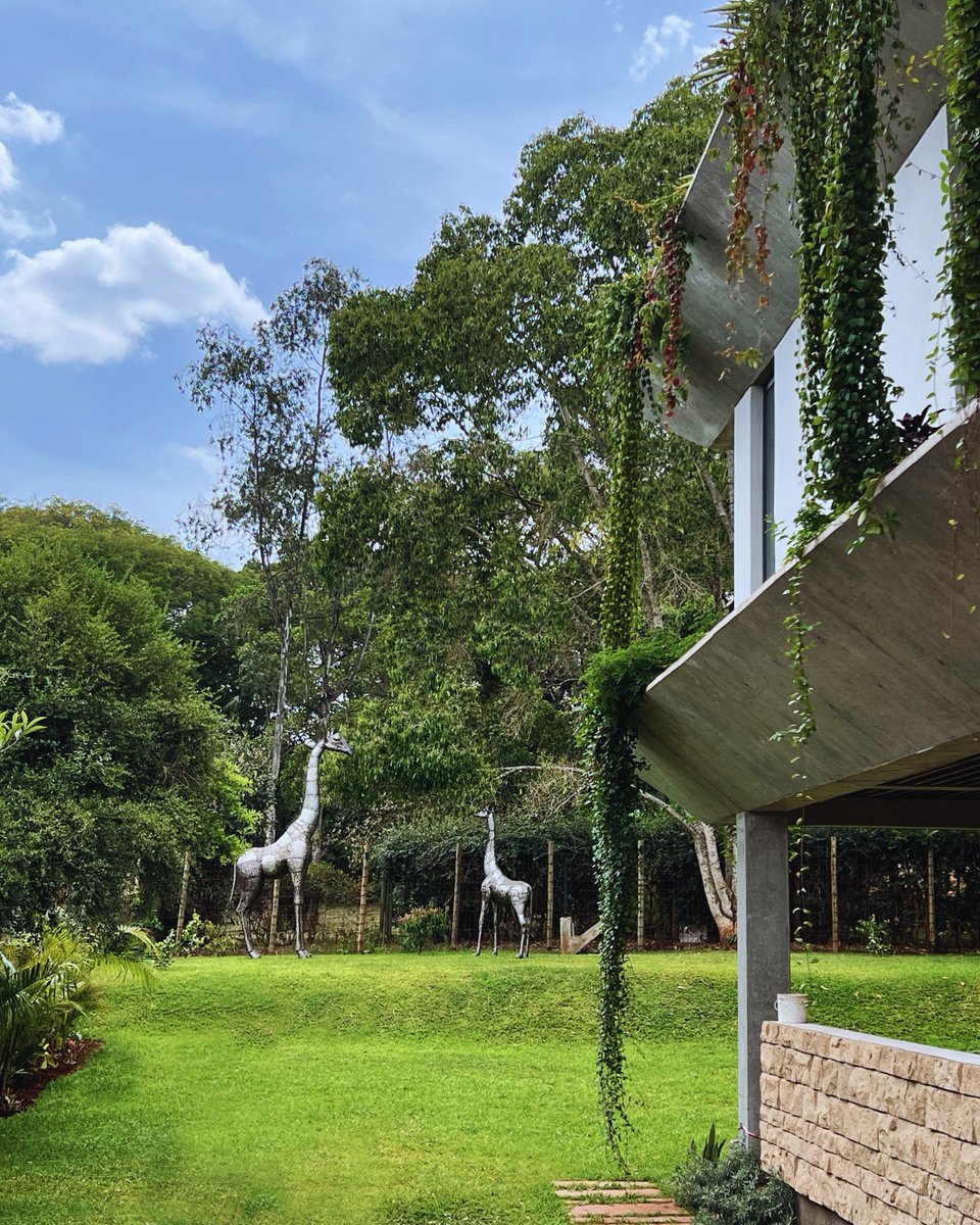 The OPAL Award tweet media