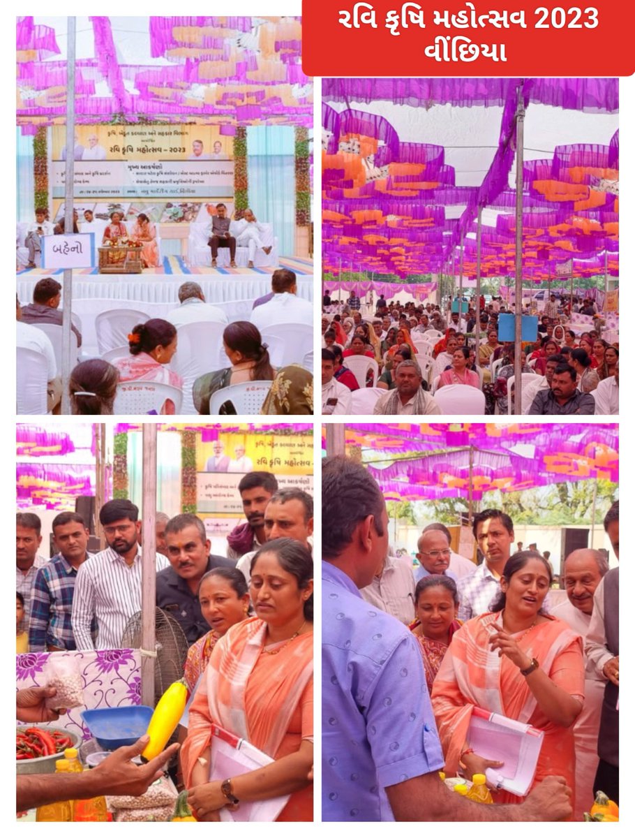 આજરોજ રાજકોટ જિલ્લાના  વિંછીયા ખાતે તાલુકા કક્ષાના રવી કૃષિ મહોત્સવનું માન.જિલ્લા પંચાયત પ્રમુખશ્રીના  અધ્યક્ષ સ્થાને આયોજન કરવામાં આવેલ જેમાં બહોળી સંખ્યામાં ખેડૂતોએ હાજરી આપી હતી<a href="/ddorajkot/">DDORAJKOT</a> <a href="/DaoRajkot/">DAO Rajkot</a> @tdovinchhiya <a href="/Gramsevak1972/">Rajkotdisgsmandal</a>
