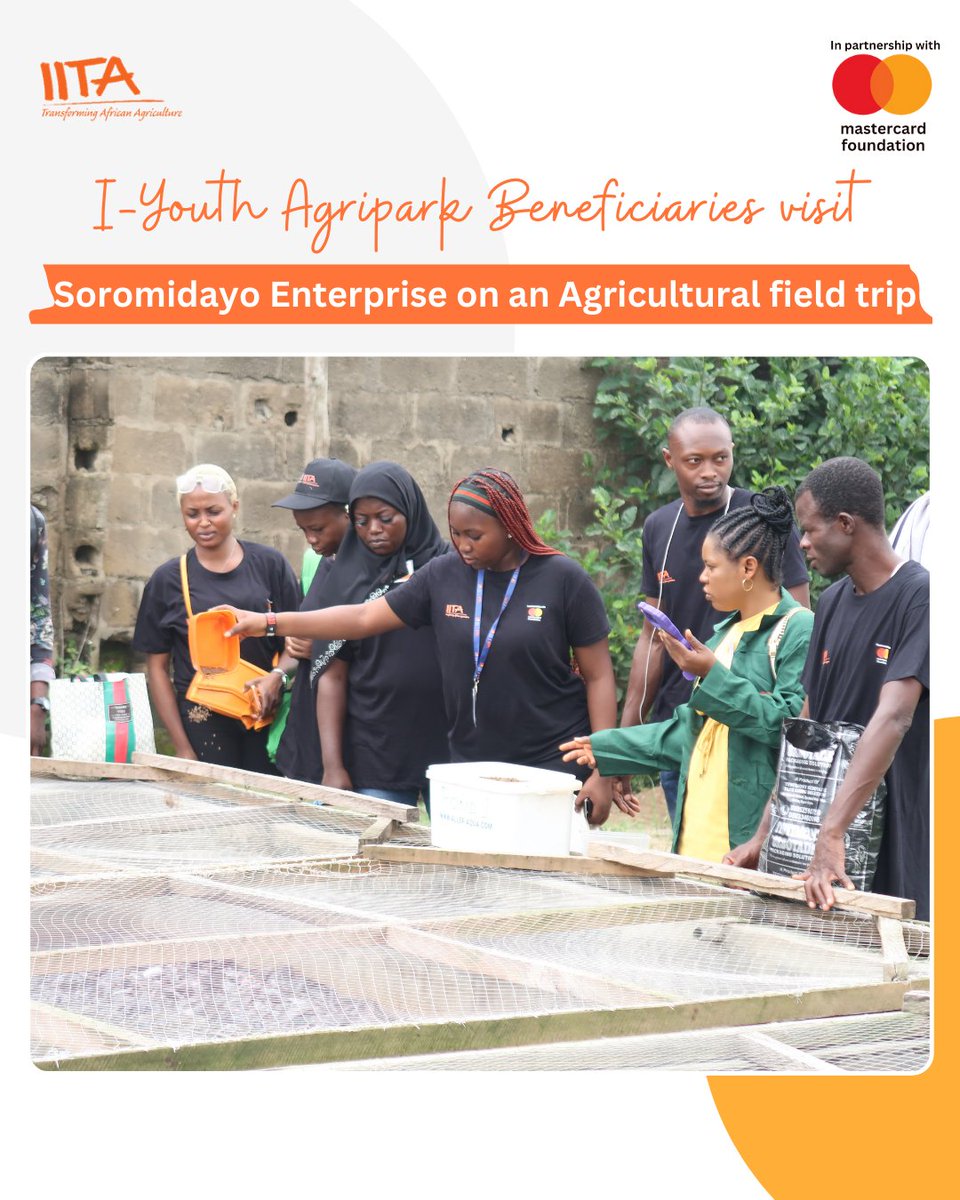 IITAYOUTHAGRIP's tweet photo. From a trainee to a trainer and mentor.💥
Soromidayo was amongst the pioneer beneficiaries of I-Youth in #Lagos State.
Her facility is now a learning centre for new beneficiaries on the project.
Our #aquaculture entrepreneurs at the I-Youth #Agripark in Lagos embarked on an enriching learning trip to Soromidayo #Enterprise and she was excited to share her journey to agripreneurship with them.
#IITA_Mastercardfoundation #IYouth