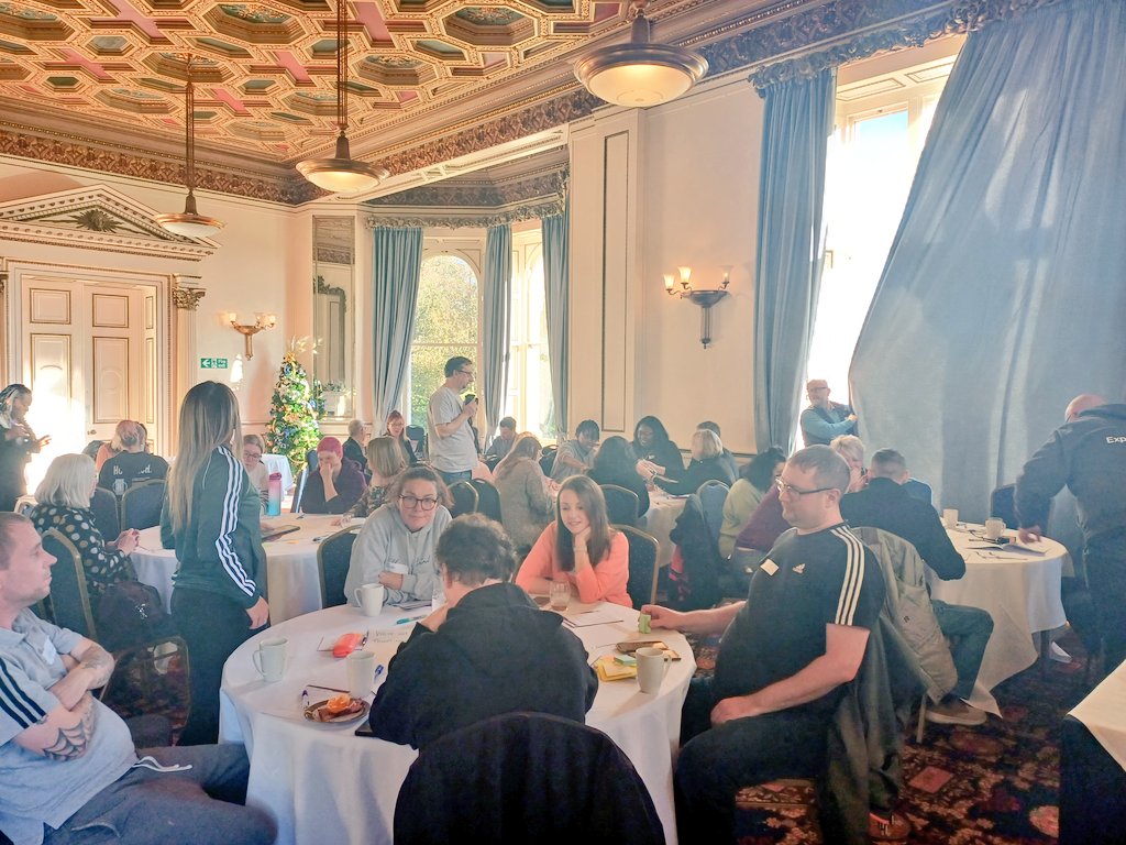 Sophia Fedorowicz tweet media