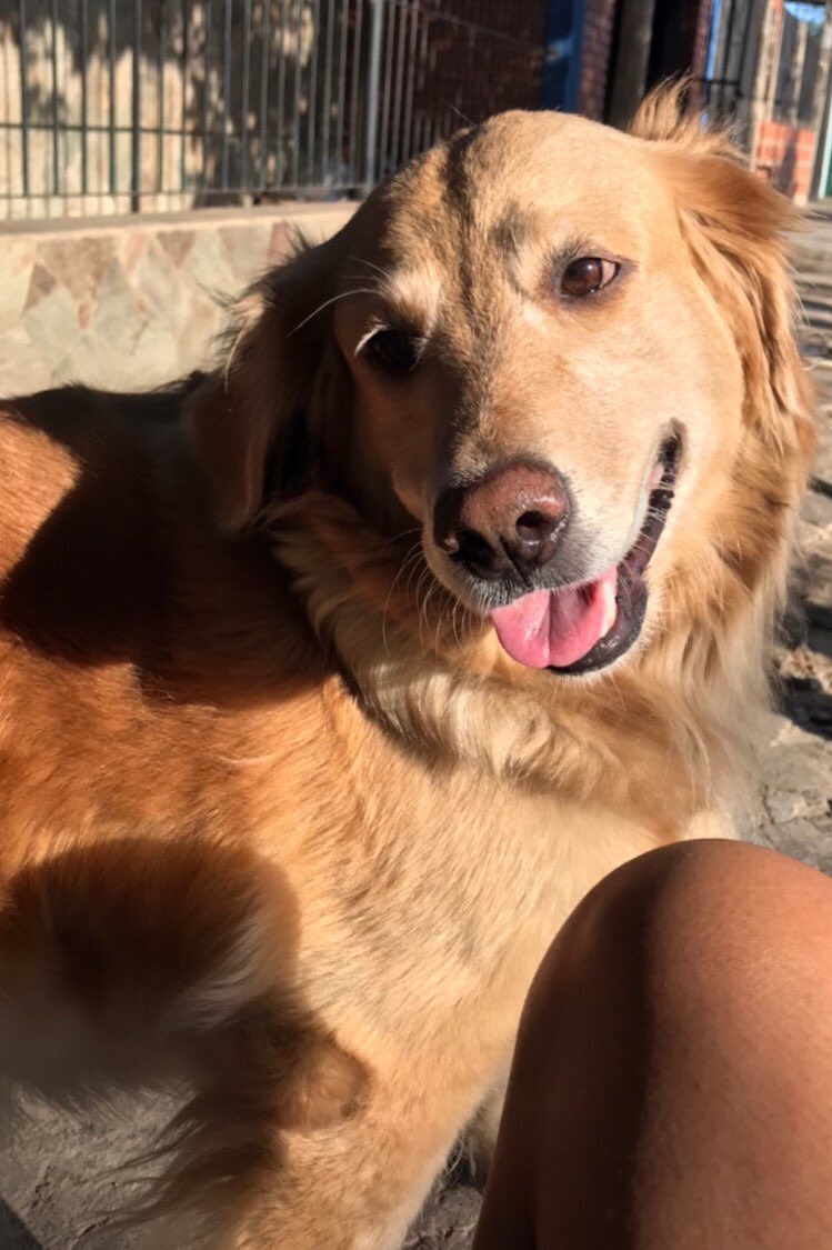 arandaylann's tweet photo. Que en todos los destinos coincidamos para seguir amándonos. Me regalaste días únicos hija hermosa, te amo con el alma y te extraño día a día. https://t.co/aK7fIixQ1u