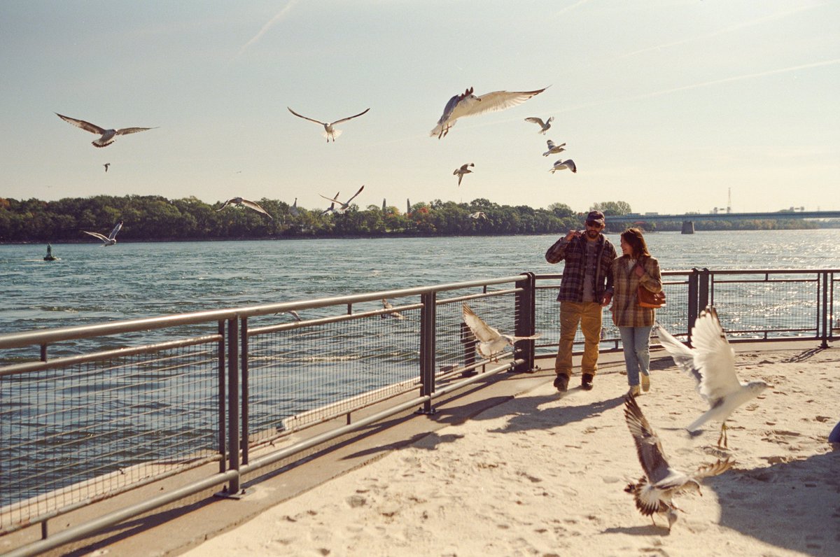 [Entretien] Son rapport à la comédie romantique, les seventies, humour et machisme… Monia Chokri nous répond !
✍️ Par @eva_sauphie
📸 Louise Desnos
sofilm.fr/sommaire-magaz…