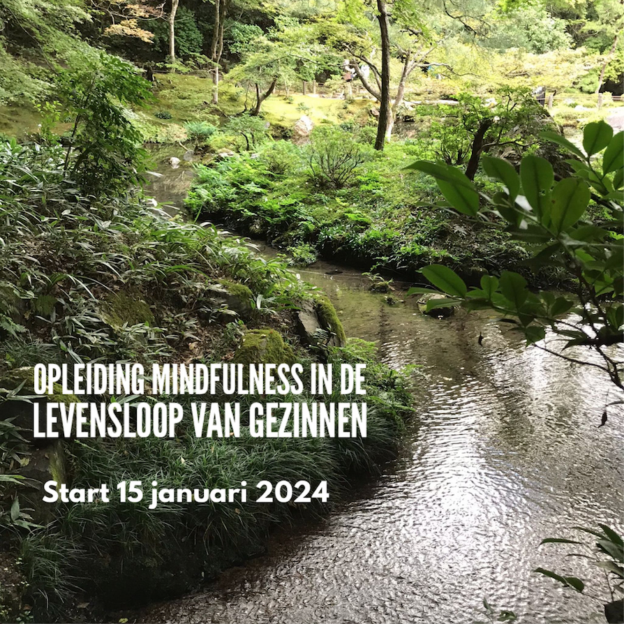 Susan Bögels tweet media