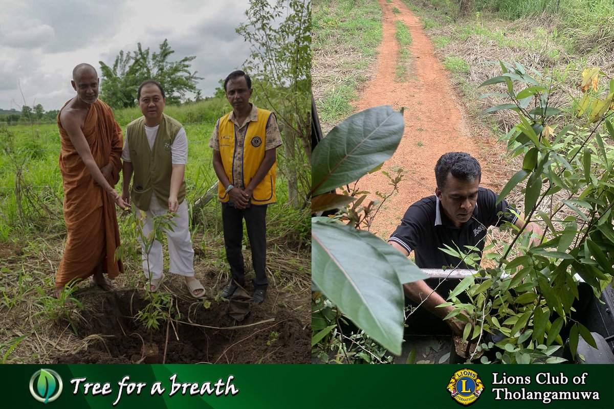 Tholangamuwa Lions Club conducted a tree planting program at the Na Uyana Aranya senasanaya (Monastery)There were 73 Indonesians,Singaporeans, and Malaysians participated in this event. Many types of 150 plants were planted here including,Maila, Bakmee(cheesewood),Weera,Na trees