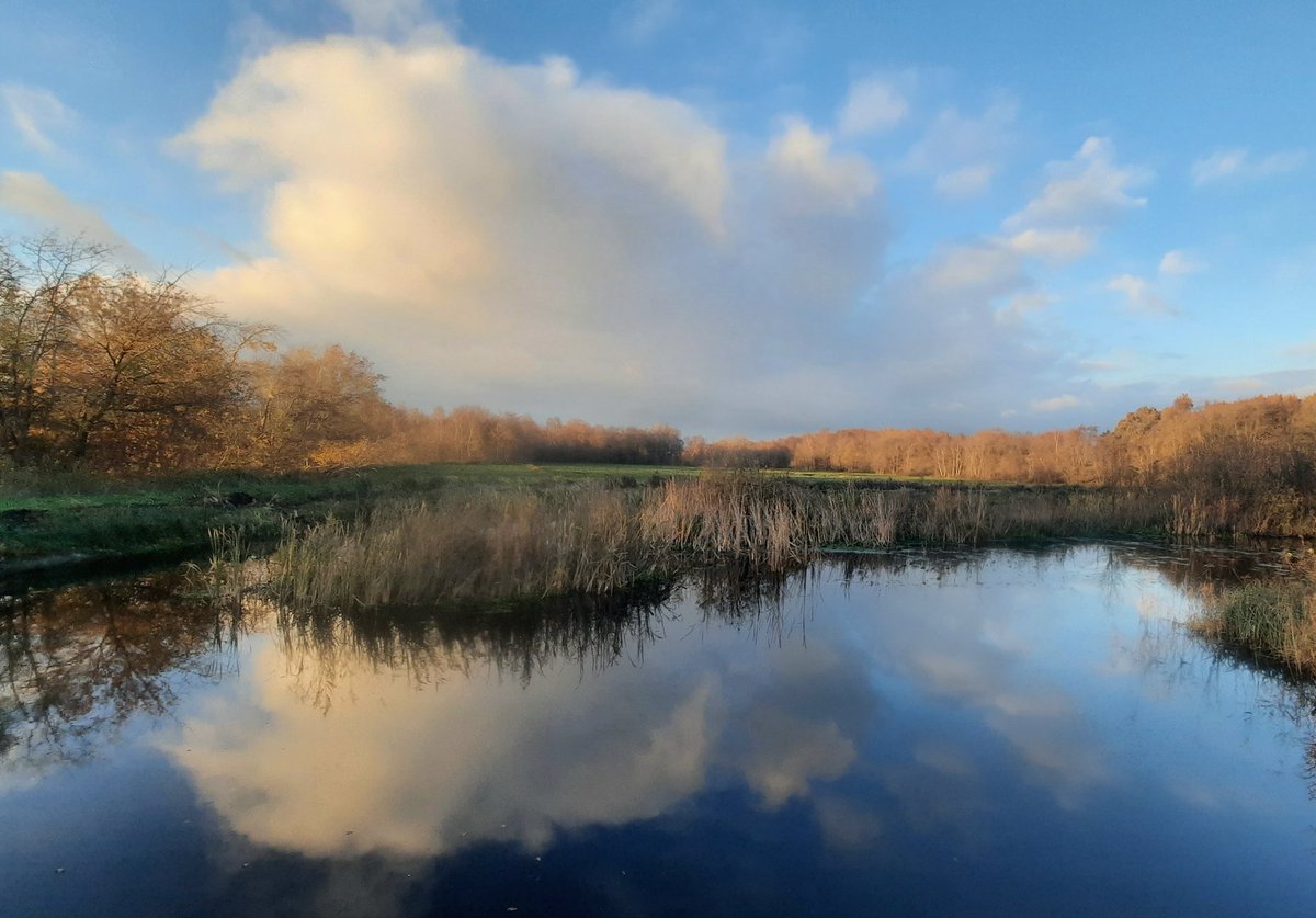 klaaswillemb's tweet photo. Polaire luchtsoort levert vaak een dynamische weerbeeld op, zoals hier, bij het #Easterskar #landscapephotography #AutumnVariations #autumncolors #November2023 #Friesland https://t.co/14imrLfp7c