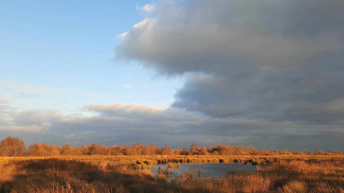 klaaswillemb's tweet photo. Polaire luchtsoort levert vaak een dynamische weerbeeld op, zoals hier, bij het #Easterskar #landscapephotography #AutumnVariations #autumncolors #November2023 #Friesland https://t.co/14imrLfp7c