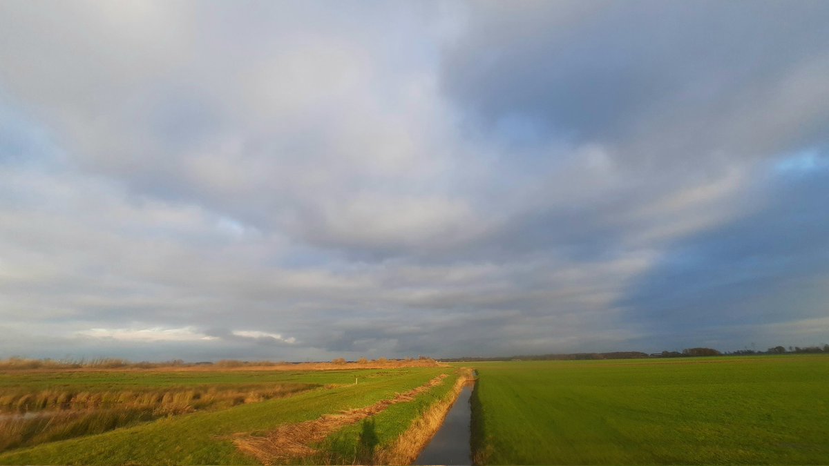 klaaswillemb's tweet photo. Polaire luchtsoort levert vaak een dynamische weerbeeld op, zoals hier, bij het #Easterskar #landscapephotography #AutumnVariations #autumncolors #November2023 #Friesland https://t.co/14imrLfp7c