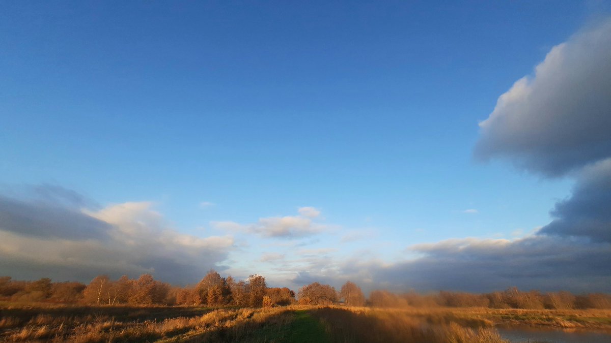 klaaswillemb's tweet photo. Polaire luchtsoort levert vaak een dynamische weerbeeld op, zoals hier, bij het #Easterskar #landscapephotography #AutumnVariations #autumncolors #November2023 #Friesland https://t.co/14imrLfp7c
