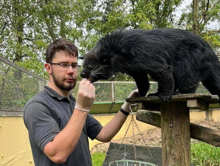 Birmingham Wildlife Conservation Park tweet media