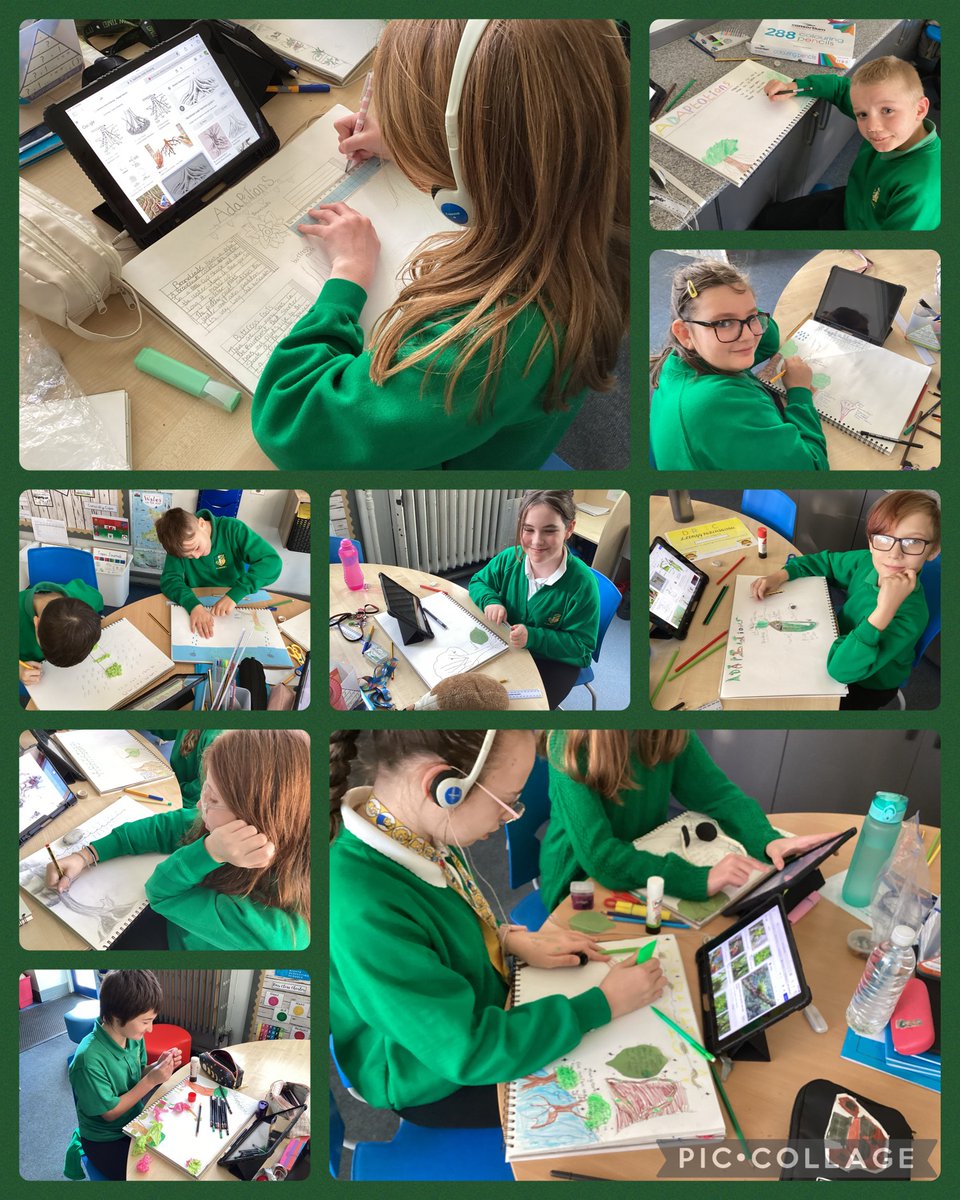 glanhowyprimary's tweet photo. Today #YrWyddfa have been exploring plant adaptations in the Amazon Rainforest, and showcasing their understanding in their #TopicJournals. @EAS_Humanities https://t.co/GbB5dKj8h5