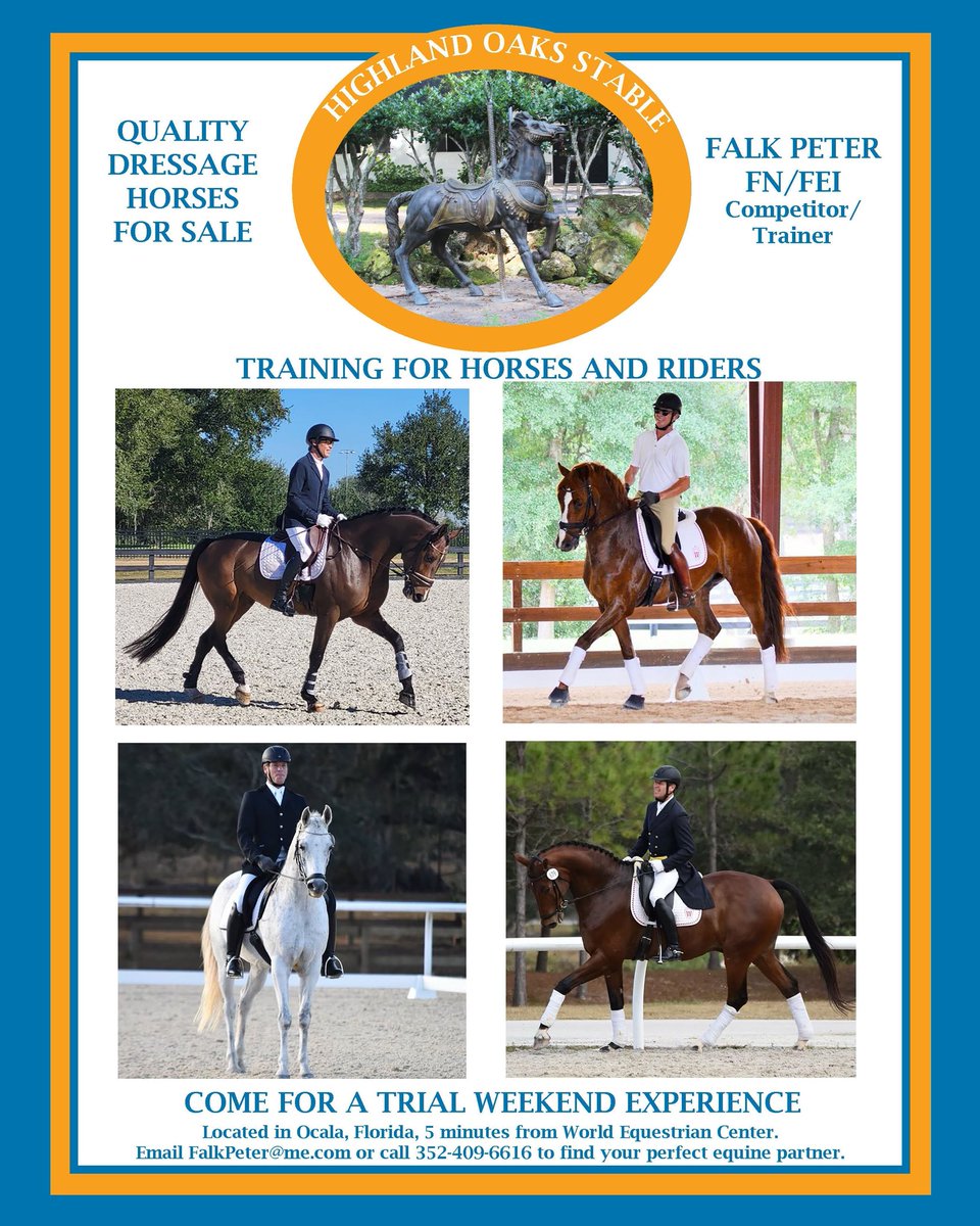 Elite Equestrian magazine (@EquineFlair) on Twitter photo 2023-11-24 14:27:26