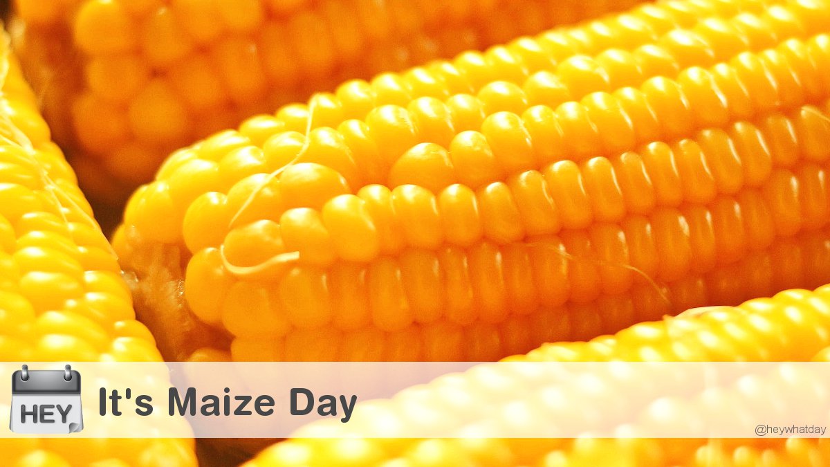 HeyWhatDay's tweet photo. It's Maize Day!
#MaizeDay #NationalMaizeDay #Food https://t.co/kvuNMGZ0uX