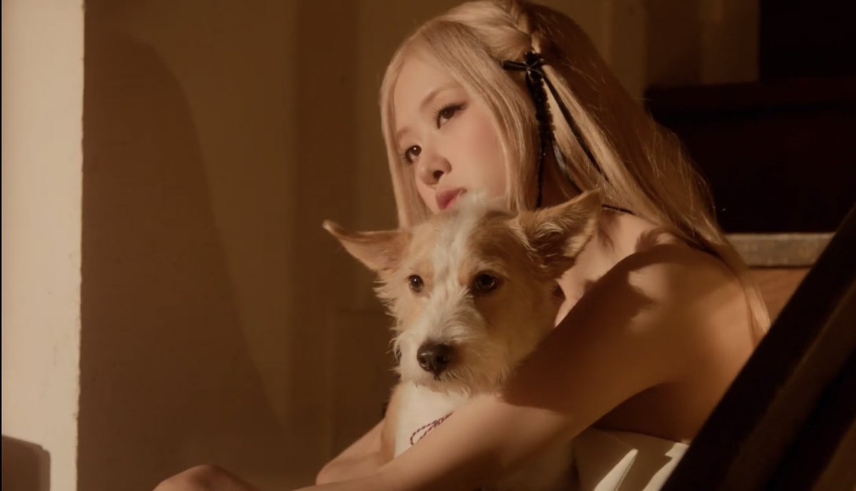 rosé pics (@rosespics) on Twitter photo 