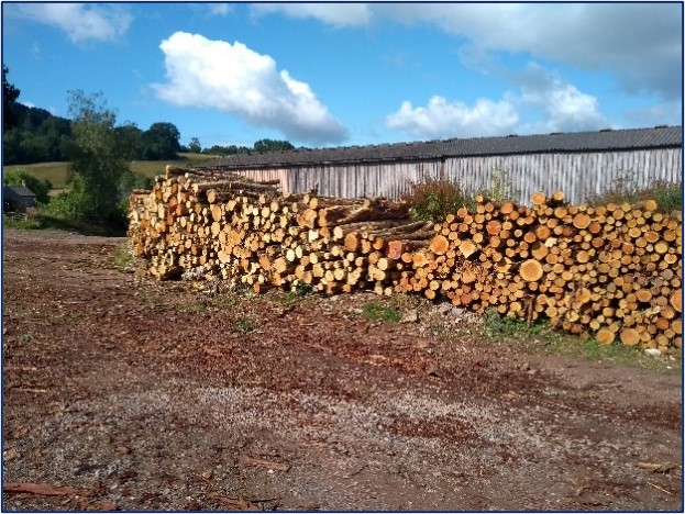 Visit our website for todays edition of #FridayFarmingThoughts from <a href="/AdamLockyear/">Adam Lockyear FWAG</a>.
Adam recently spent the day at Great Trill Farm discovering how they manage their farm woodlands for economic &amp; environmental benefit.
fwagsw.org.uk/blog/woodland-…