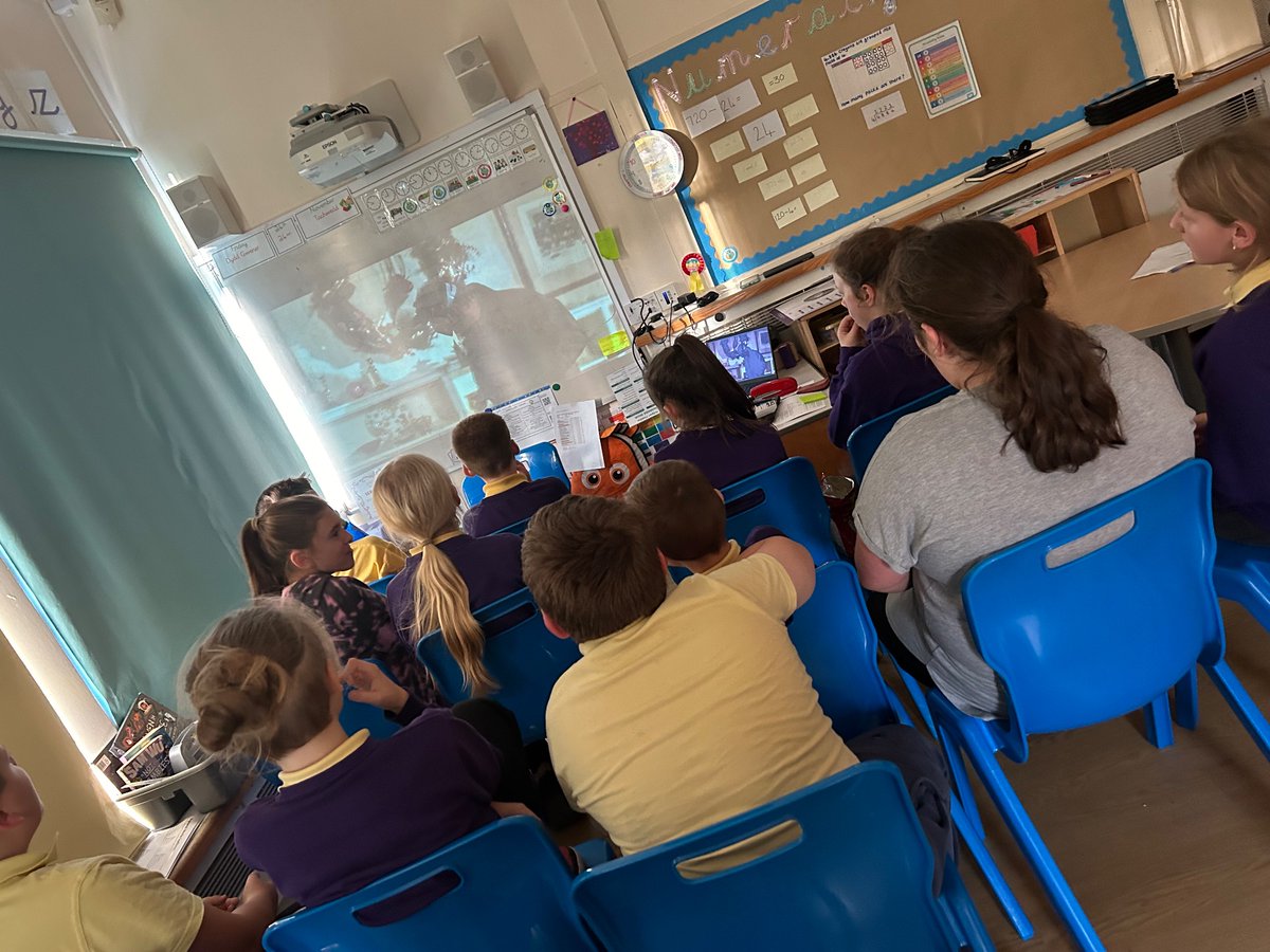 Dosbarth Gwenyn tweet media