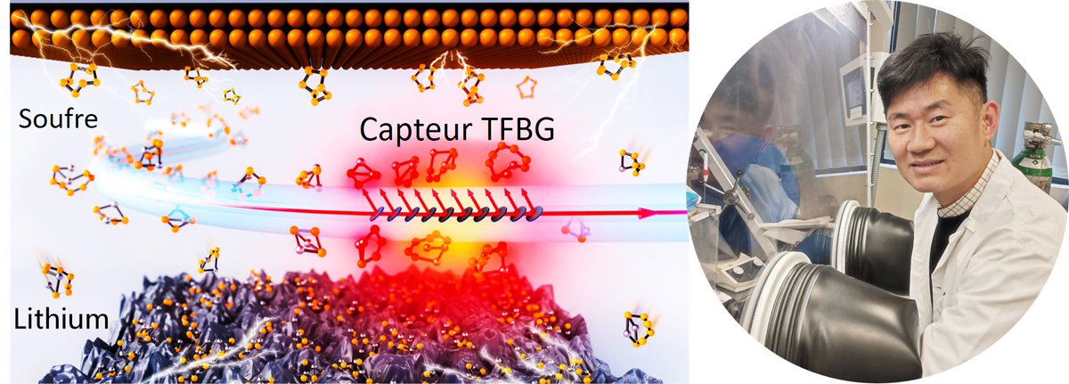 💡Des fibres mettent en lumière la « boîte noire » des #batteries au soufre - article @NatureComms : nature.com/articles/s4146… - vulgarisé : energie-rs2e.com/fr/des-fibres-… @CSElab_Paris @cdf1530 @CNRSchimie