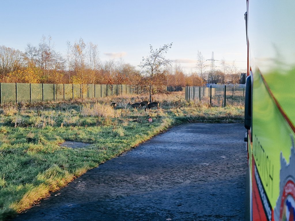 SFRS Driver Training tweet media